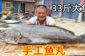 买条33斤重大鮸鱼，阿胖山剔出鱼肉做手工鱼丸，比买的好吃太多视频封面