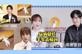 你俩都爱羊驼表情包！是经常聊天吧~喜欢的表情都一样！肖战杨紫视频封面