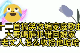 十二首搞笑改编歌曲 女婿告状要求退货 丈母娘的回答绝了哈哈！视频封面