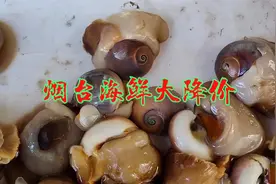 烟台海鲜真便宜，老板娘真实在，生怕顾客占了便宜拼命地挤猫眼螺视频封面