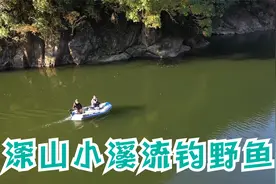深山小溪流钓野鱼，享受真正的野钓之趣视频封面