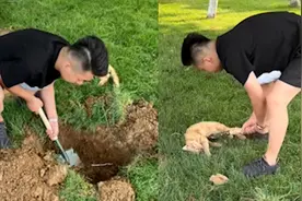 女子偷拍男友安葬小猫，车里备着铁锹和红布：但行好事莫问前程视频封面