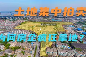 土地集中出让制度性下，房企为什么要疯狂拿地？视频封面