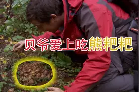 荒野求生第三季，贝爷吊在百米高空荡秋千，还爱上了吃熊粑粑？？视频封面
