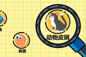 又到了鼻炎爆发的春天，专家教你平安渡劫视频封面