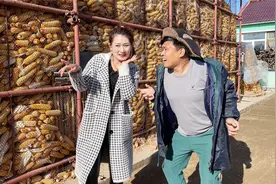 小伙给二嫂扒苞米一天200，5天后找二嫂结账，二嫂的做法太逗了视频封面