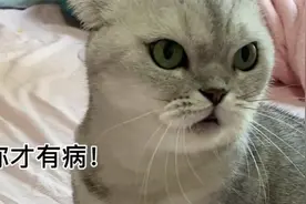 为了让团子老实点，不去揍泡泡，这下应该能让她冷静了