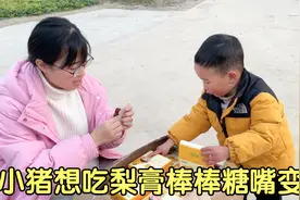 小忆忽悠小猪将来买奥拓，小猪想吃棒棒糖嘴巴变甜，静静不敢吃甜视频封面