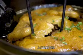 阳春三月的限定野奢度假游：3天2晚的南昌湾里旅游攻略VLOG视频封面