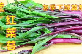 红菜苔很多人做不好，教你一个小诀窍，炒出来脆嫩鲜香不发苦视频封面