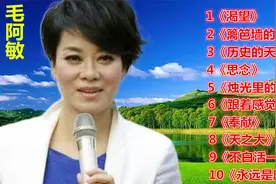 毛阿敏【老歌精选10首】《渴望》《篱笆墙的影子》《历史的天空》视频封面