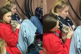 乌克兰少女带猫咪躲避难所，温柔抚摸安抚情绪，一举动令人破防视频封面