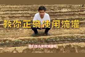 你真的会用滴灌吗？手把手教你如何正确使用滴灌，走出使用误区！视频封面