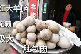 山东网红大羊脑，68一斤，巨无霸肚包肉，一个2斤多，看着就过瘾视频封面