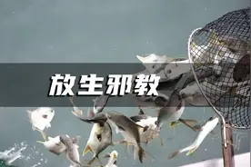 放生邪教能有多奇葩？沿河放生矿泉水，声称每瓶含有八万四千虫视频封面