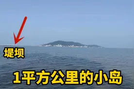 苏州太湖一座1平方公里小岛，一条堤坝连接陆地，4个村子面湖而居视频封面