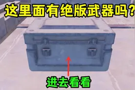 山谷发现神秘铁箱，进入内部之后，里面原来有绝版武器视频封面