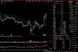 一日一股：海航控股怎么就ST了？视频封面