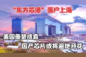 “东方芯港”落户上海，美国作茧自缚，中国芯片或将遍地开花视频封面