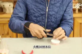 竹编技艺8--金理慧 --竹编蚱蜢