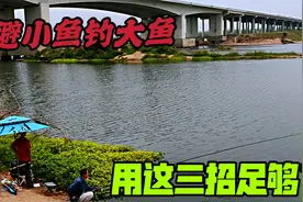 这三招真的太绝了！避小鱼钓大鱼，巧妙的手段直击大鲫鱼大鲤鱼视频封面