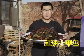 阿远买了16只小甲鱼，做个“红油小甲鱼”尝尝，裙边Q弹，真得劲视频封面