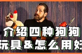 不要浪费狗狗玩具的巨大好处！训狗师教你如何正确使用它们！视频封面