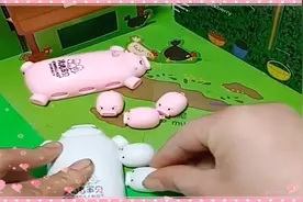 小猪宝宝找猪妈妈吃奶，不要找错妈妈哦！视频封面