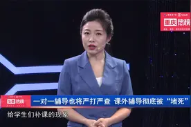 一对一也将严打严查，课外辅导彻底被“堵死”视频封面