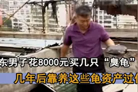 广东男子养1600只乌龟，竟然价值1个亿？这是怎么回事呢视频封面