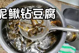 厨师长分享“泥鳅钻豆腐”的家常做法，汤白味道鲜美，营养丰富视频封面
