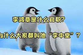 李鸿章是什么官职？为什么大家都叫他“李中堂”？视频封面