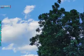 全球顶级纯音乐，旋律醉人心扉，空灵唯美视频封面