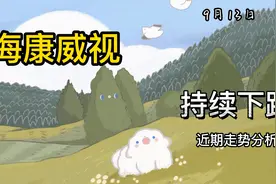 海康威视：持续下跌，近期走势分析视频封面