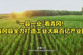 “一县一业”看青冈！黑龙江省青冈县全力打造工业大麻百亿产业园视频封面