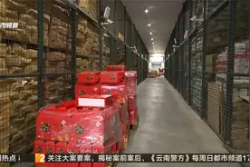 提速新昆明：昆明市入选首批17个国家骨干冷链物流基地建设名单视频封面