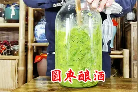 用这种叫圆枣子的野生猕猴桃酿酒看看味道会怎么样视频封面