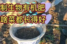 生物有机肥你会发酵吗？我年年用这个方法，手把手教你制作视频封面