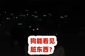 狗能看见脏东西吗？犬晚上为何对着空气大吼大叫视频封面