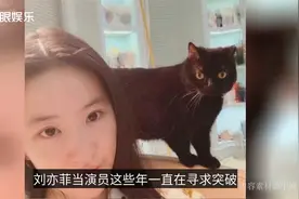 刘亦菲和助理同逛十元店，头戴廉价渔夫帽，原来天仙也下凡视频封面