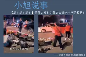 【退！退！退！】是什么梗？为什么会迎来全网的模仿！视频封面
