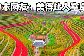 国外看中国春天的五彩梯田 日本网友：美得让人窒息！视频封面