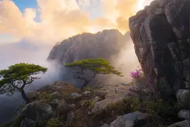 【自然美景】一个夏天的夜晚，天上的星星密密麻麻，总也数不清。视频封面