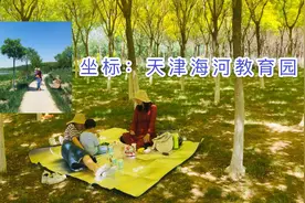 坐标：天津海河教育园，背景音乐没添加，因大自然的声音最好听！视频封面