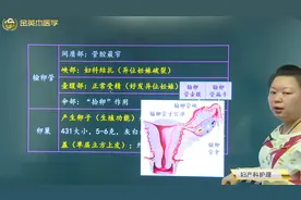 妇产科护理学女性生殖系统解剖与生理：输卵管、卵巢的组成和功能视频封面