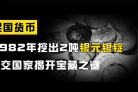 1982年女子挖出2吨银元银锭，上交国家揭开30多年前宝藏之谜视频封面