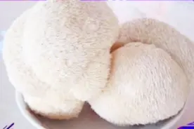发苦的猴头菇究竟是什么原因导致？还能吃吗？视频封面