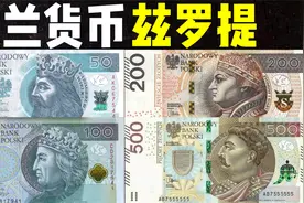 全球货币系列之波兰兹罗提：见过波兰兹罗提吗？比人民币贵近7倍视频封面