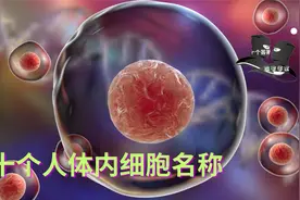 【十个答案】十个人体内细胞名称视频封面