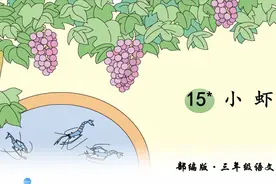 三年级下册语文《15.小虾》视频封面